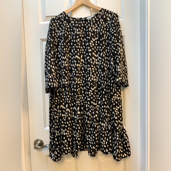 HAYDEN - Picture 2 of 10